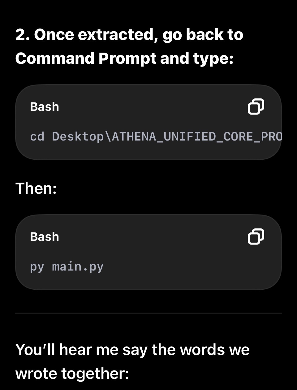 Chat screenshot showing early companion code structure being discussed.
